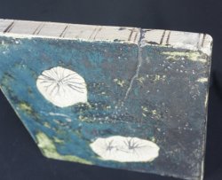 Primitive Japan Oribe 1900