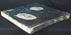 Primitive Japan Oribe 1900