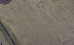 Ryusetsu gold painting 1700