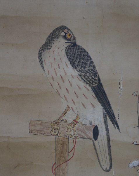 Samurai Takagari 1800