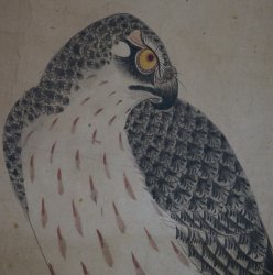 Samurai Takagari 1800