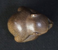 Saru Netsuke 1800