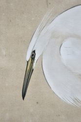 Seiho Sagi birds 1950 