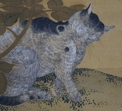 Setsuge Buncho cat scroll 1700s