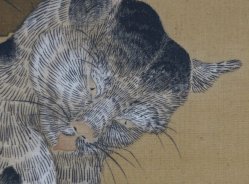 Setsuge Buncho cat scroll 1700s