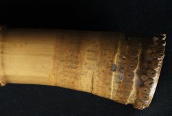 Shakuhachi flute 1900 bamboo