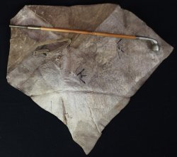 Shika Kiseru 1800