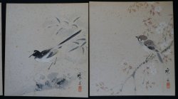 Shikishi natural painting 1900