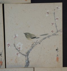 Shikishi natural painting 1900