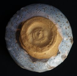 Shinoyaki-Chawan kiln 1970
