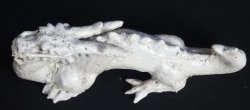 Shinoyaki dragon 1980