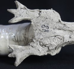 Shinoyaki dragon 1980