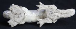 Shinoyaki dragon 1980