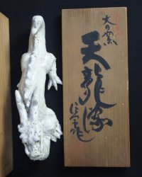 Shinoyaki dragon 1980