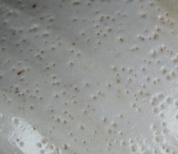 Shinoyaky Macha bowl 1970