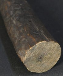 Shinto fertility 1880