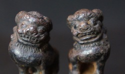 Shishi lions 1800