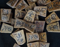 Shogi chess 1900