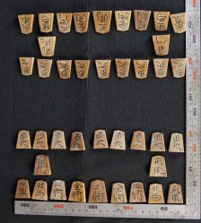 Shogi chess 1900