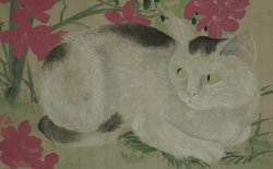 Shouzan Neko 1800s