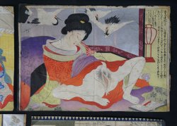 Shunga Meiji prints 1880