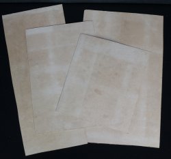 Silver leaf Sumi-e 1900