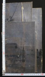 Silver leaf Sumi-e 1900