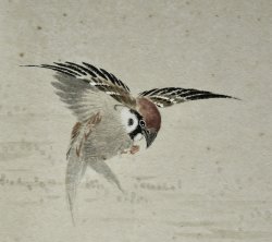 Sparrow and Bamboo 1970