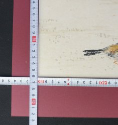 Sparrow and Bamboo 1970