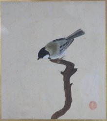 Spring bird Suzume 1900