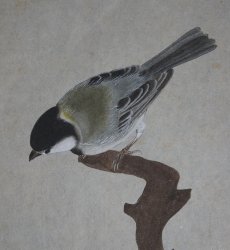 Spring bird Suzume 1900