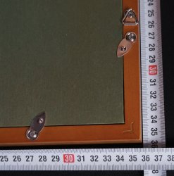 Spring bird Suzume 1900