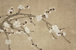 Spring Tsuru 1800