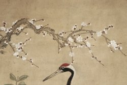Spring Tsuru 1800
