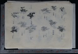 Sumi-e Japan sketch 1900s