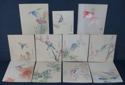 Suzume birds 1900