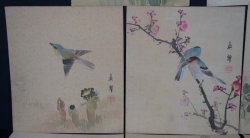 Suzume birds 1900