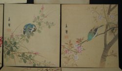 Suzume birds 1900