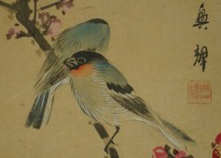 Suzume birds 1900