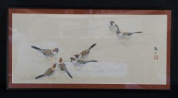 Suzume sparrow1970