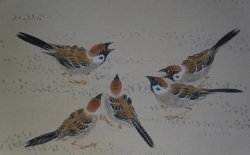 Suzume sparrow1970