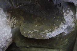 Tachiaoi Mon Kawara 1700