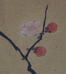 Taka blossoms Gyomiso 1700