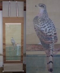 Taka Edo falconry 1750