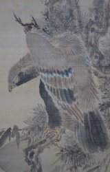 Taka falcon 1850s