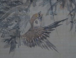 Taka falcon 1850s