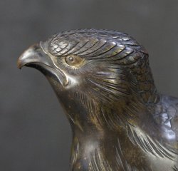Taka Koro falconry 1850