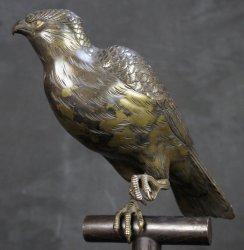 Taka Koro falconry 1850