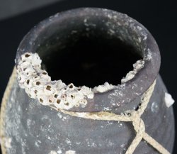 Takotsubo fishing vase 1900