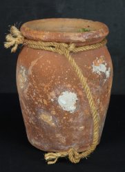 Takotsubo hart shape 1900